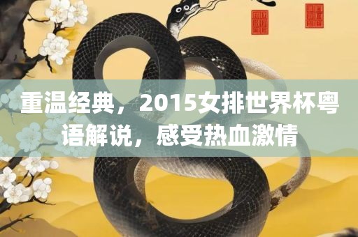 重温经典，2015女排世界杯粤语解说，感受热血激情
