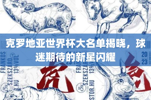 克罗地亚世界杯大名单揭晓，球迷期待的新星闪耀