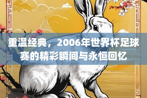 重温经典，2006年世界杯足球赛的精彩瞬间与永恒回忆漯河市盈旭机械设备有限公司