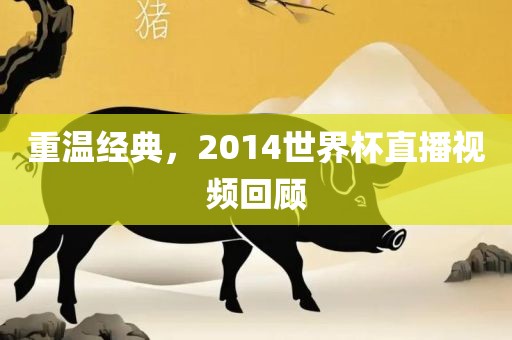 重温经典，2014世界杯直播视频回顾