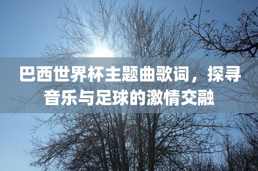 巴西世界杯主题曲歌词，探寻音乐与足球的激情交融