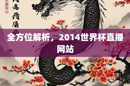 全方位解析，2014世界杯直播网站