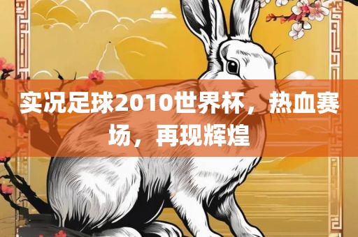 实况足球2010世界杯，热血赛场，再现辉煌