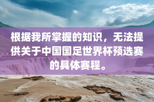 中国国足
