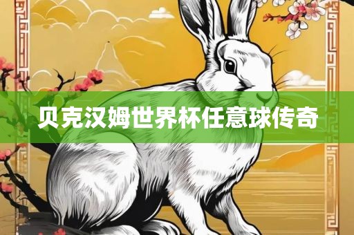 贝克汉姆世界杯任意球传奇