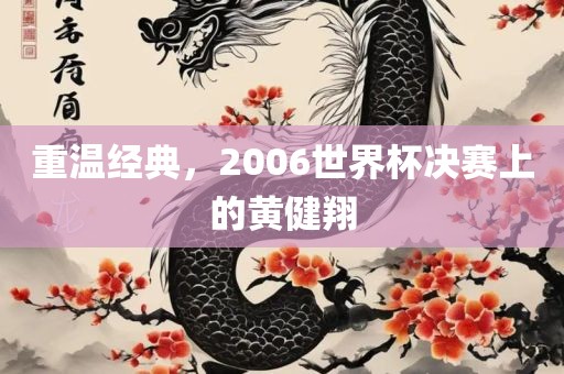 重温经典，2006世界杯决赛上的黄健翔