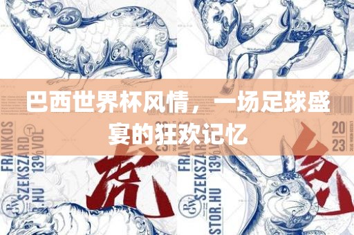 巴西世界杯风情，一场足球盛宴的狂欢记忆漯河市盈旭机械设备有限公司