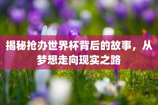 揭秘抢办世界杯背后的故事，从梦想走向现实之路漯河市盈旭机械设备有限公司