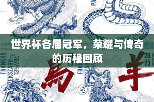 世界杯各届冠军，荣耀与传奇的历程回顾