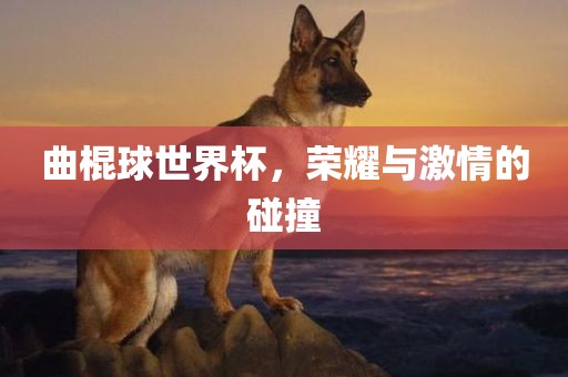 曲棍球世界杯，荣耀漯河市盈旭机械设备有限公司与激情的碰撞