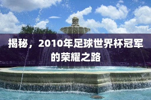 揭秘，2010年足球世界杯冠军的荣耀之路