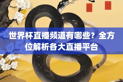 世界杯直播频道有哪些？全方位解析各大直播平台