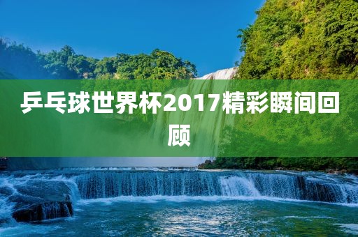 乒乓球世界杯2017精彩瞬间回顾