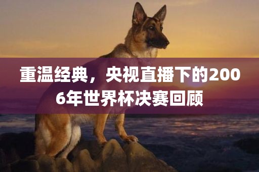 重温经典，央视直播下的2006年世界杯决赛回顾