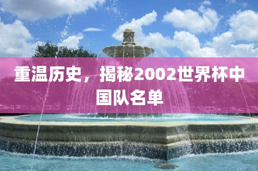 重温历史，揭秘2002世界杯中国队名单