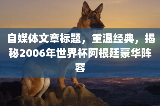 自媒体文章标题，重温经典，揭秘2006年世界杯阿根廷豪华阵容