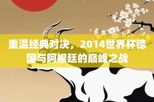 重温经典对决，2014世界杯德国与阿根廷的巅峰之战