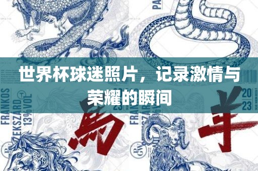 世界杯球迷照片，记录激情与荣耀的瞬间