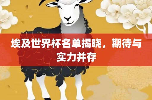 埃及世界杯名单揭晓，期待与实力并存