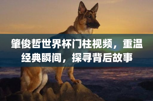 肇俊哲世界杯门柱视频，重温经典瞬间，探寻背后故事