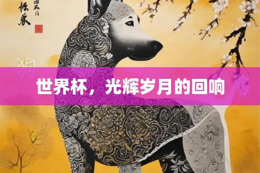 世界杯，光辉岁月的回响