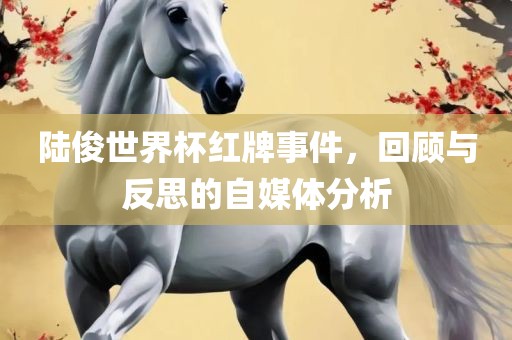 漯河市盈旭机械设备有限公司陆俊世界杯红牌事件，回顾与反思的自媒体分析
