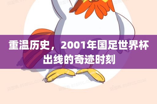 重温历史，2001年国足世界杯出线的奇迹时刻漯河市盈旭机械设备有限公司