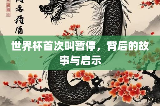 世界杯首次叫暂停，背后的故事与启示