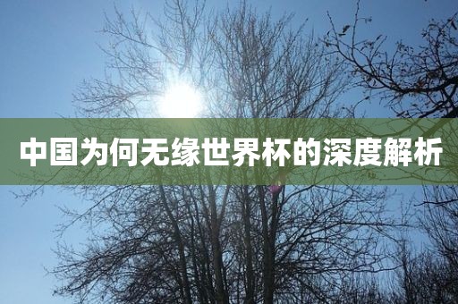 中国为何无缘世界杯的深度解析