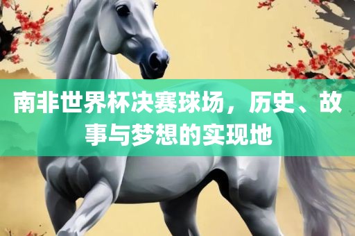 南非世界杯决赛球场，历史、故事与梦想的实现地漯河市盈旭机械设备有限公司