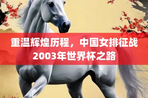 重温辉煌历程，中国女排征战2003年世界杯之路