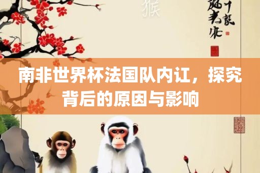 南非世界杯法国队内讧，探究背后的原因与影响