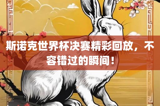 斯诺克世界杯决赛精彩回放，不容错过的瞬间！