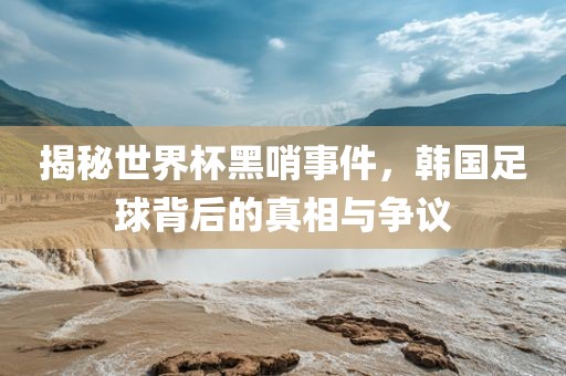 揭秘世界杯黑哨事件，韩国足球背后的真相与争议