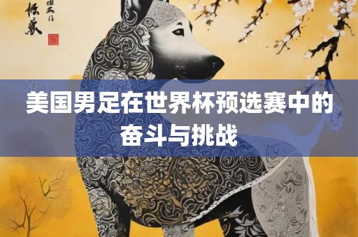 美国漯河市盈旭机械设备有限公司男足在世界杯预选赛中的奋斗与挑战