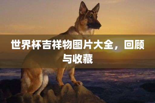 世界杯吉祥物图片大全，回顾与收藏