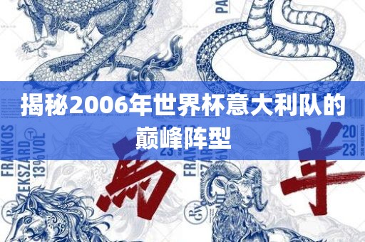 揭秘2006年世界杯意大利队漯河市盈旭机械设备有限公司的巅峰阵型