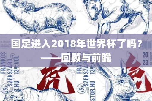 国足进入2018年世界杯了吗？——回顾与前瞻