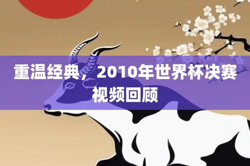 重温经典，2010年世界杯决赛视频回顾