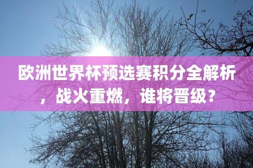 欧洲世界杯预选赛积分全解析，战火重燃，谁将晋级？