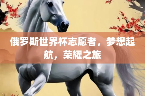 俄罗斯世界杯志愿者，梦想起航，荣耀之旅