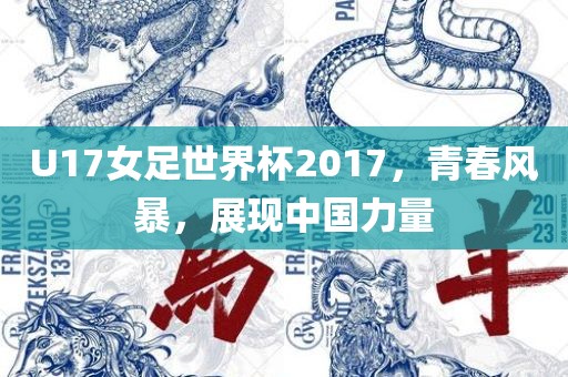 U17女足世界杯2017，青春风暴，展现中国力量