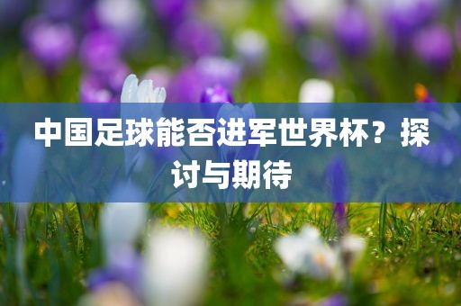 中国足球能否进军世漯河市盈旭机械设备有限公司界杯？探讨与期待
