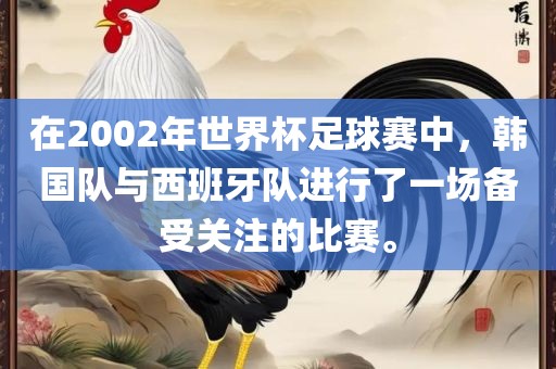 在2002年世界杯足球赛中，韩国队与西班牙队进行了一场备受关注的比赛。