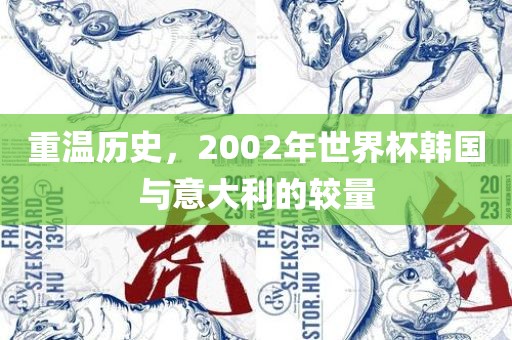 重温历史，2002年世界杯韩国与意大利的较量漯河市盈旭机械设备有限公司