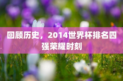 回顾历史，2014世界杯排名四强荣耀时刻