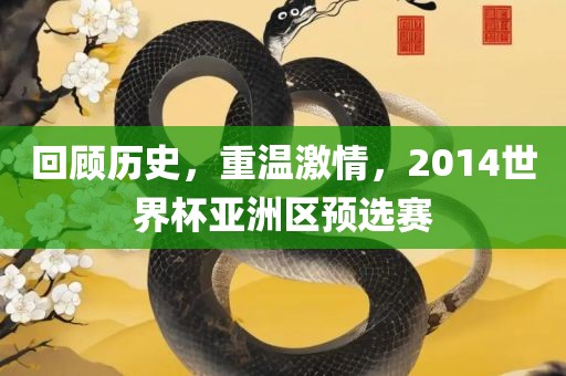 回顾历史，重温激情，2014世界杯亚洲区预选赛
