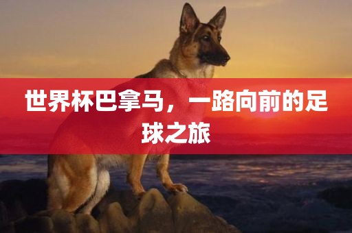 世界杯巴拿马，一路向前的足球之旅漯河市盈旭机械设备有限公司
