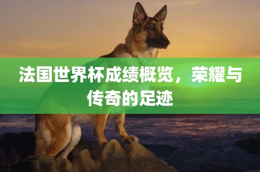 法国世界杯成绩概览，荣耀与传奇的足迹