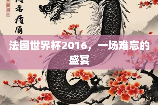 法国世界杯2016，一场难忘的盛宴